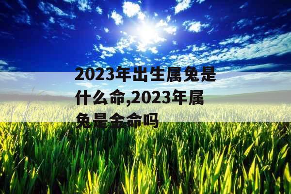 2023年出生属兔是什么命,2023年属兔是金命吗