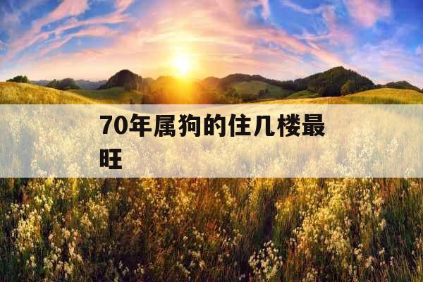 70年属狗的住几楼最旺