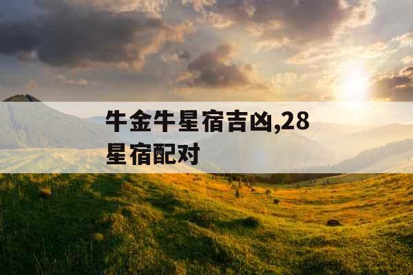 牛金牛星宿吉凶,28星宿配对