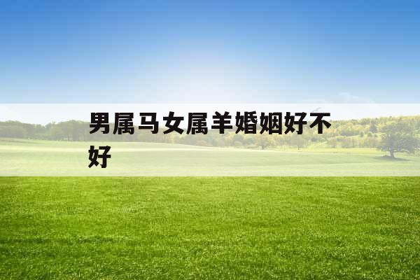男属马女属羊婚姻好不好