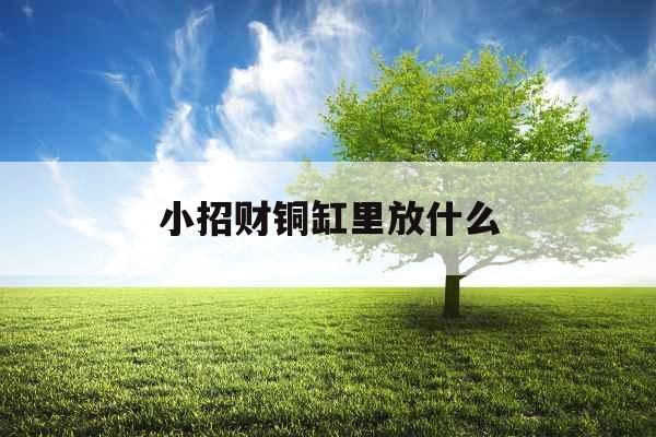 小招财铜缸里放什么