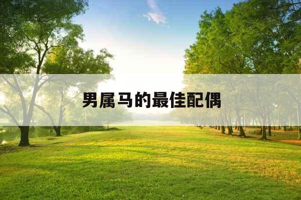 男属马的最佳配偶 男属马的最佳配偶