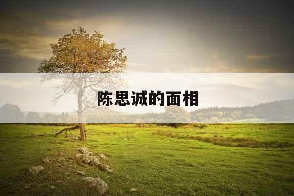 陈思诚的面相