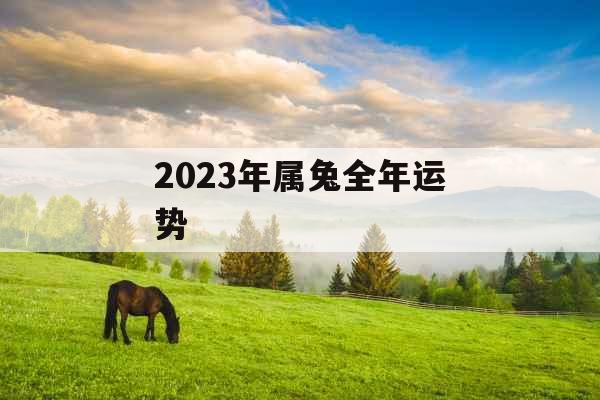 2023年属兔全年运势 2023年属兔全年运势