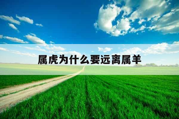 属虎为什么要远离属羊