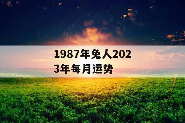 1987年兔人2023年每月运势
