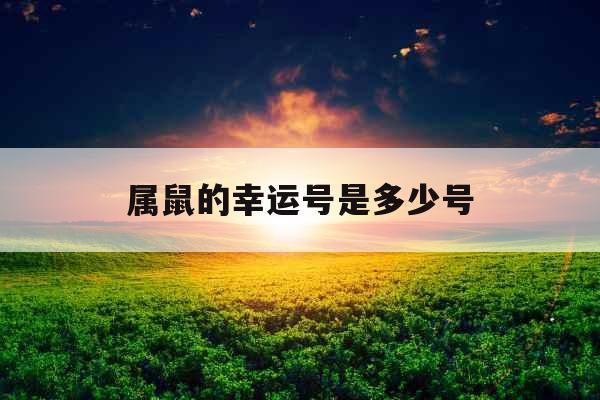 属鼠的幸运号是多少号