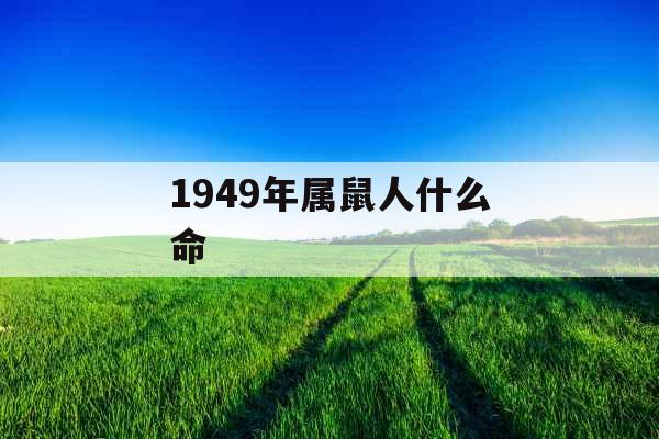 1949年属鼠人什么命
