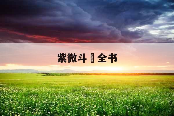 紫微斗數全书 紫微斗數全书