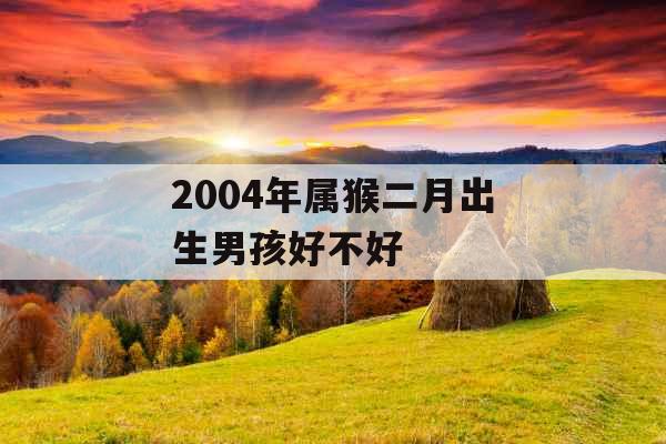 2004年属猴二月出生男孩好不好