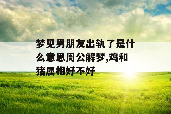 梦见男朋友出轨了是什么意思周公解梦,鸡和猪属相好不好