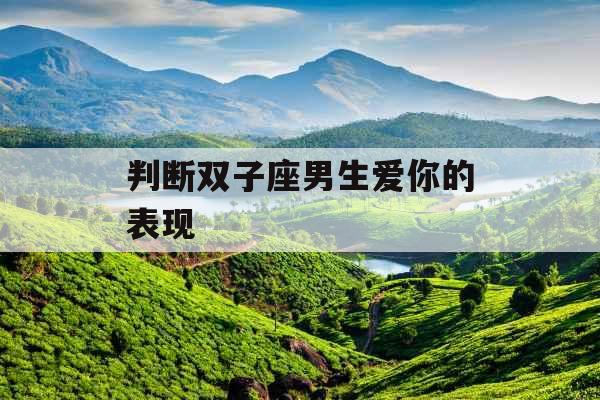 判断双子座男生爱你的表现 判断双子座男生爱你的表现