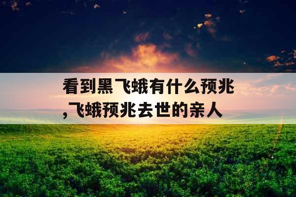 看到黑飞蛾有什么预兆,飞蛾预兆去世的亲人