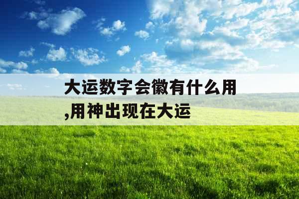 大运数字会徽有什么用,用神出现在大运