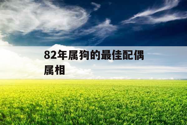 82年属狗的最佳配偶属相