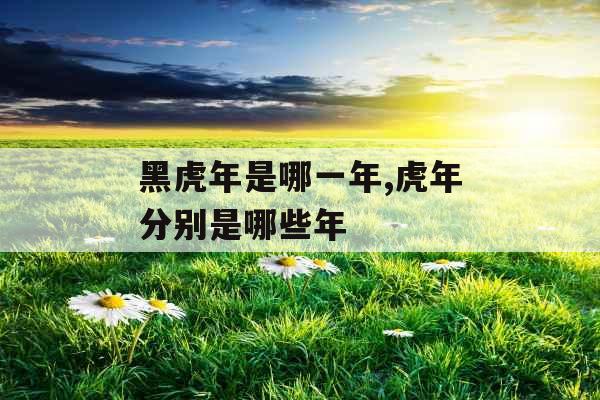 黑虎年是哪一年,虎年分别是哪些年