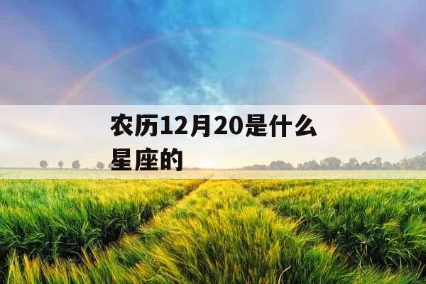 农历12月20是什么星座的