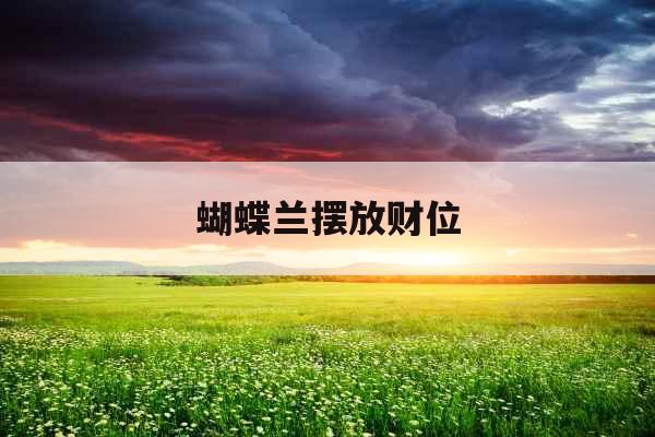 蝴蝶兰摆放财位