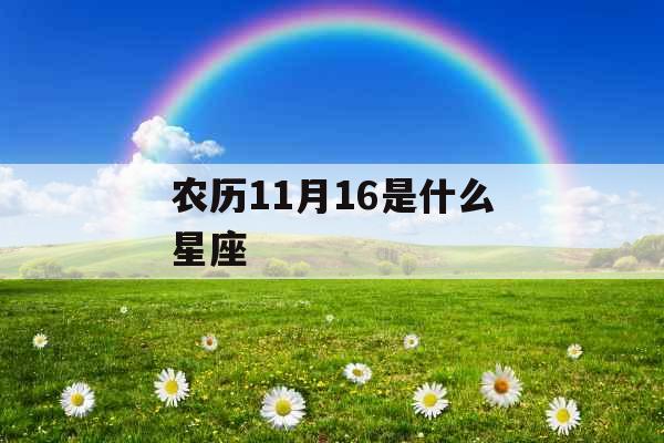 农历11月16是什么星座