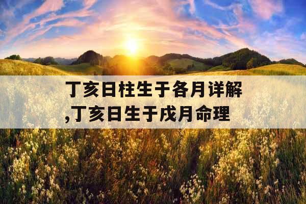 丁亥日柱生于各月详解,丁亥日生于戌月命理
