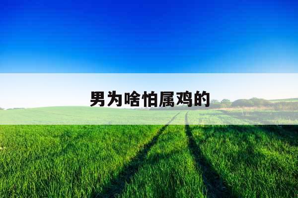 男为啥怕属鸡的