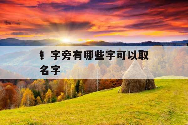 钅字旁有哪些字可以取名字