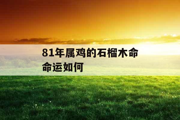 81年属鸡的石榴木命命运如何 81年属鸡的石榴木命命运如何