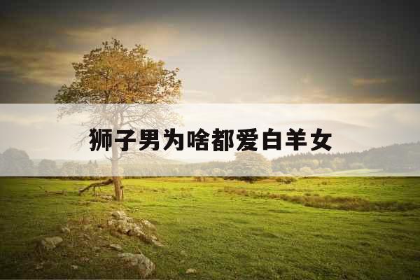 狮子男为啥都爱白羊女