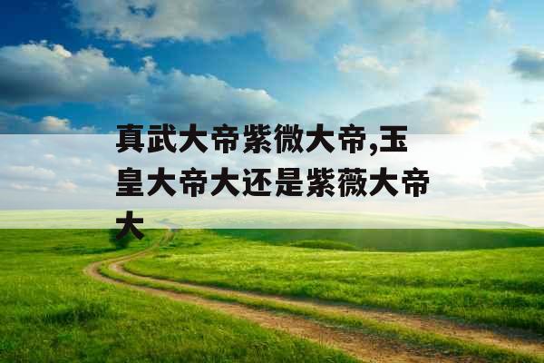 真武大帝紫微大帝,玉皇大帝大还是紫薇大帝大