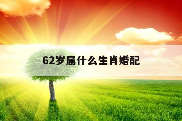 62岁属什么生肖婚配 62岁属什么生肖婚配