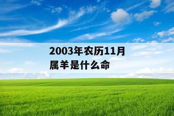 2003年农历11月属羊是什么命