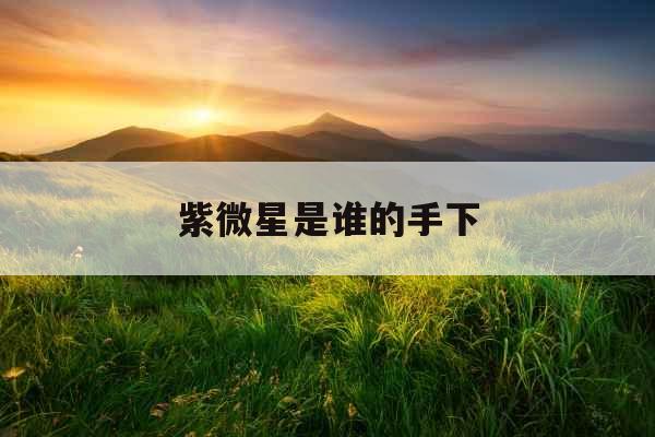 紫微星是谁的手下