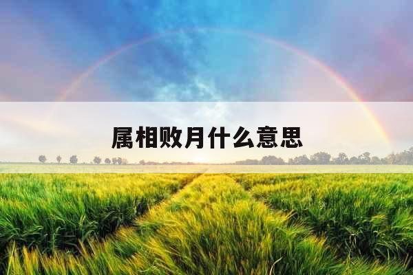 属相败月什么意思