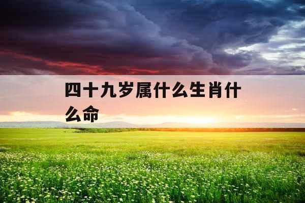 四十九岁属什么生肖什么命