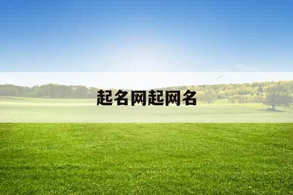 起名网起网名