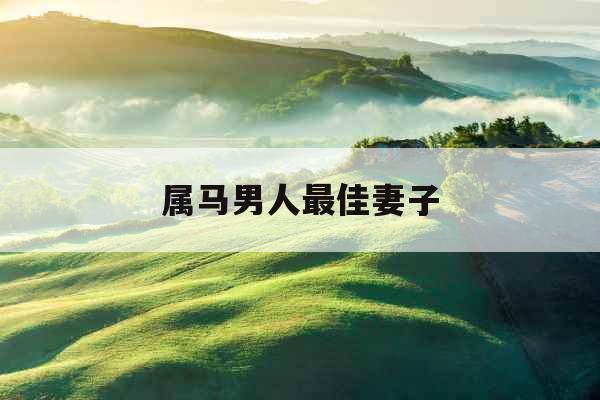 属马男人最佳妻子
