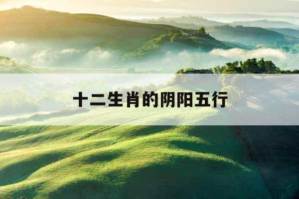 十二生肖的阴阳五行