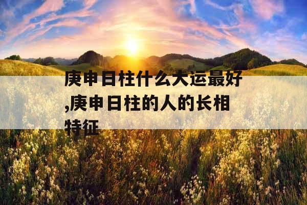 庚申日柱什么大运最好,庚申日柱的人的长相特征