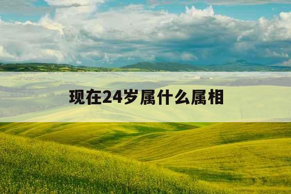 现在24岁属什么属相