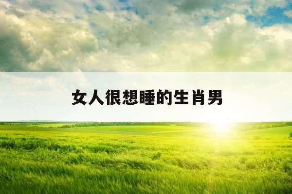 女人很想睡的生肖男 女人很想睡的生肖男
