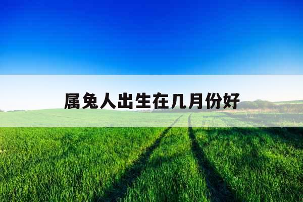 属兔人出生在几月份好