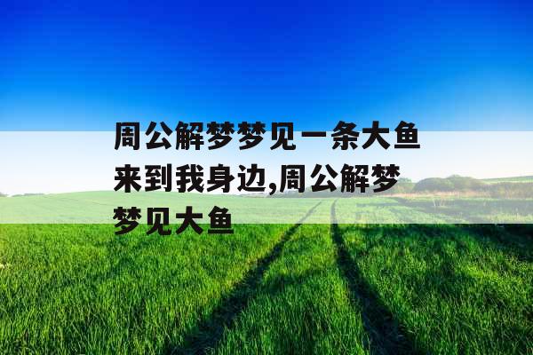 周公解梦梦见一条大鱼来到我身边,周公解梦梦见大鱼 周公解梦梦见一条大鱼来到我身边,周公解梦梦见大鱼