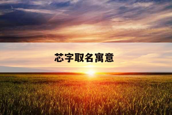 芯字取名寓意 