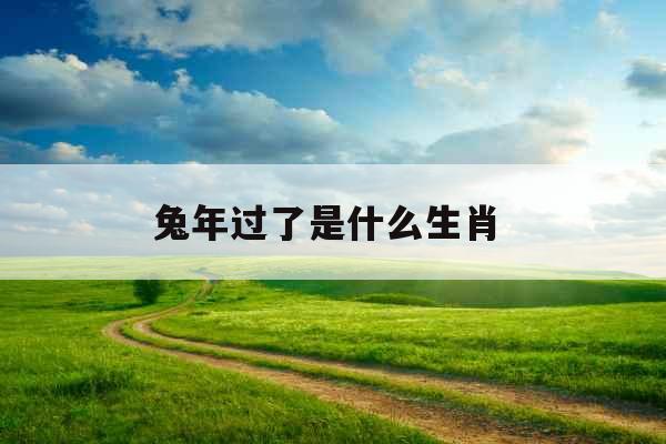 兔年过了是什么生肖 兔年过了是什么生肖