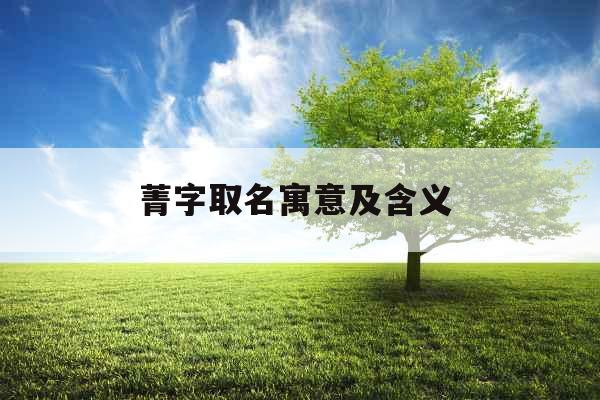 菁字取名寓意及含义 菁字取名寓意及含义