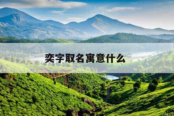 奕字取名寓意什么 奕字取名寓意什么