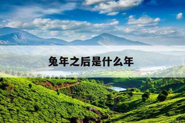 兔年之后是什么年 