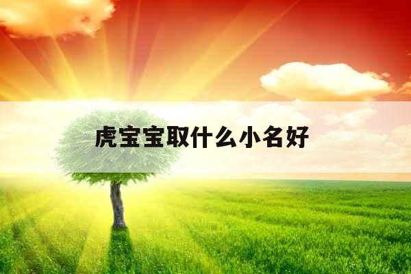 虎宝宝取什么小名好 