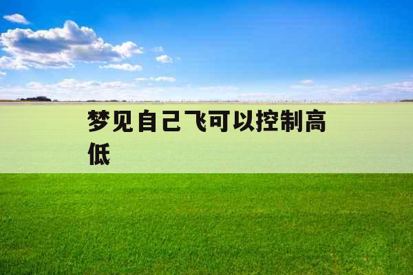 梦见自己飞可以控制高低  梦见自己飞可以控制高低