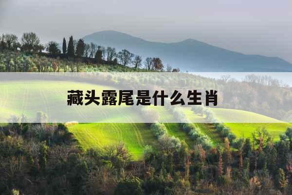 藏头露尾是什么生肖 